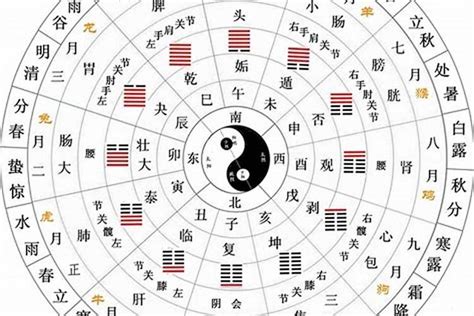 油 五行 10天干12地支